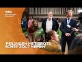 Campagnestrateeg waarschuwt kiezer: 'Partijen willen tweestrijd creëren'