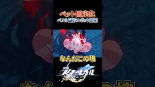 おともペットをキメラにしたり固定する方法
