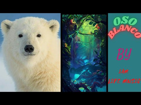 Oso Blanco performed by Diana Carr (Original by Boveda Celeste)