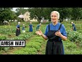 10 Rules Amish Women Follow That Outsiders Find UNBELIEVABLE The Amish Way