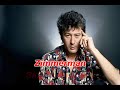 ALAIN BASHUNG   C'est la faute a Dylan 1977