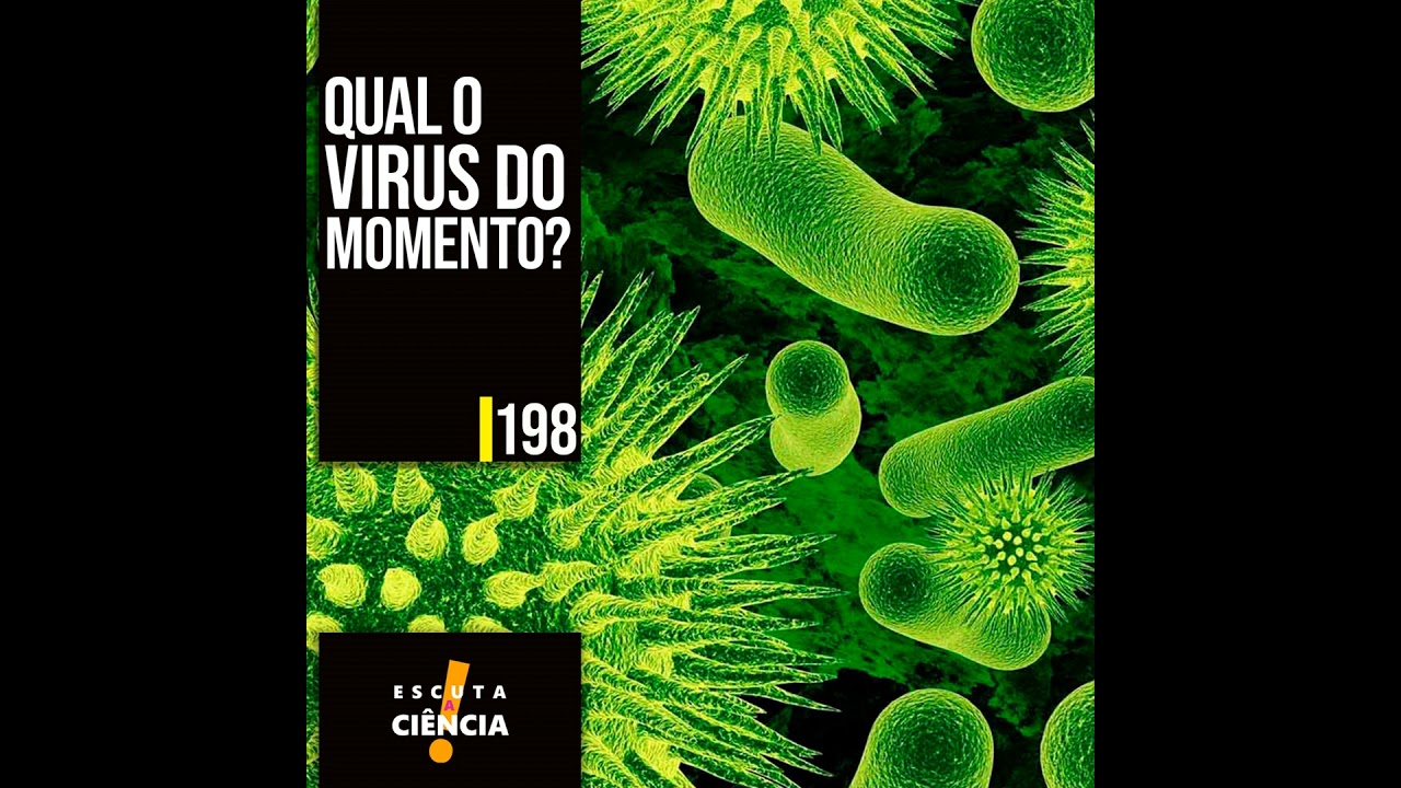 Qual o vírus do momento?