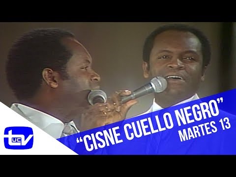Basilio - Cisne Cuello Negro