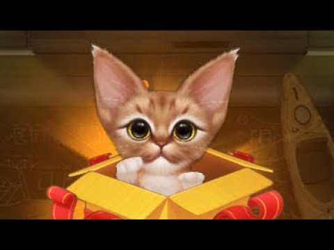 KittenMatch 214,215,216 level Gameplay Story