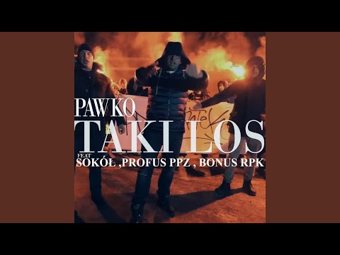 Pawko: TAKI LOS