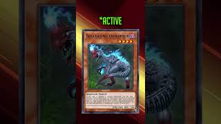 Oviraptor combo | Yu-Gi-Oh! Duel Links