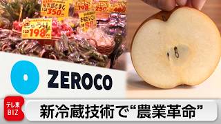 酷暑不作でも野菜価格を守る“0℃保存” 1年前のナシが“もぎたての味”！青果を長期保存する新技術「ゼロコ」とは？【ガイアの夜明け】