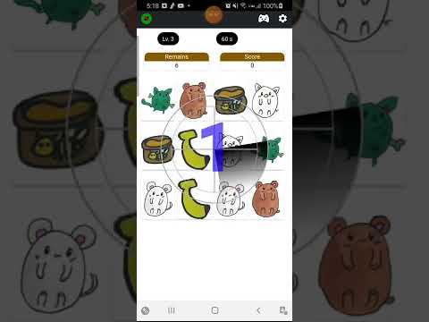 Flip Flop Memory Game