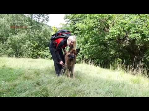 Tirol TV - Hundeführerin der Bergrettung Tirol