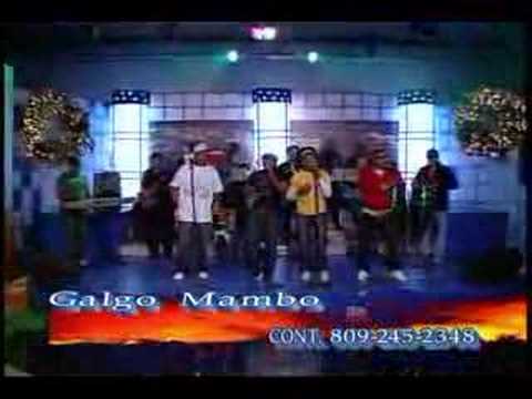 Lo nuevo de Galgo Mambo, Vive la tuya y no la mia