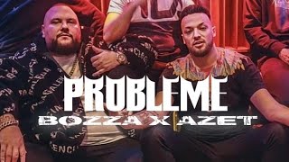 Probleme Lyrics English Translation