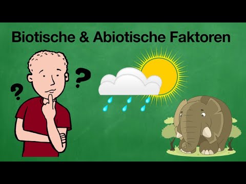 Abiotische und Biotische Faktoren im Überblick
