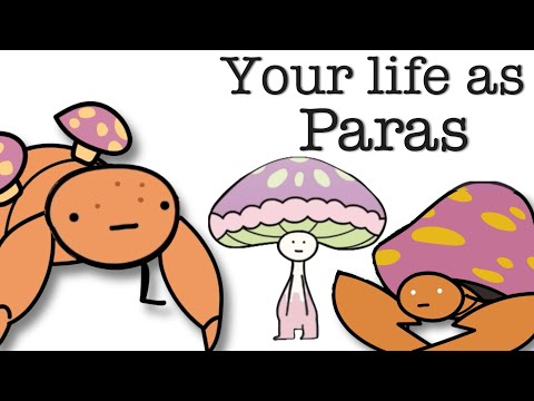 How a Fungus Erased Paras’s Identity Completely