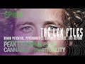 Dr Mark Ferrara On The Peak Experiences Of Cannabis And Spirituality The Lex Files