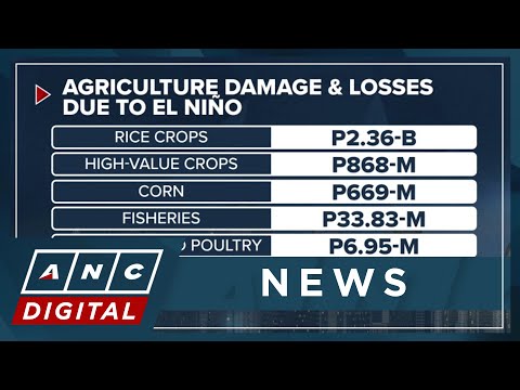 DA: Agri losses due to El Niño hit P3.9-B ANC