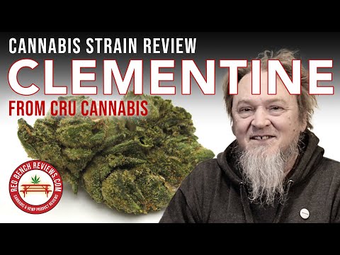 Clementine Strain Review – CRU Cannabis Brand