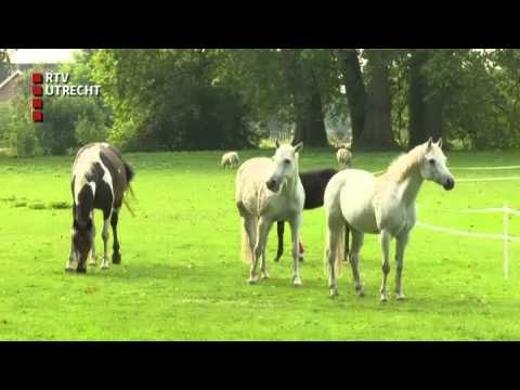 Gouden Tijden: Frans van Seumeren - do 24 dec 2015, 07:02:00 uur [RTV Utrecht]