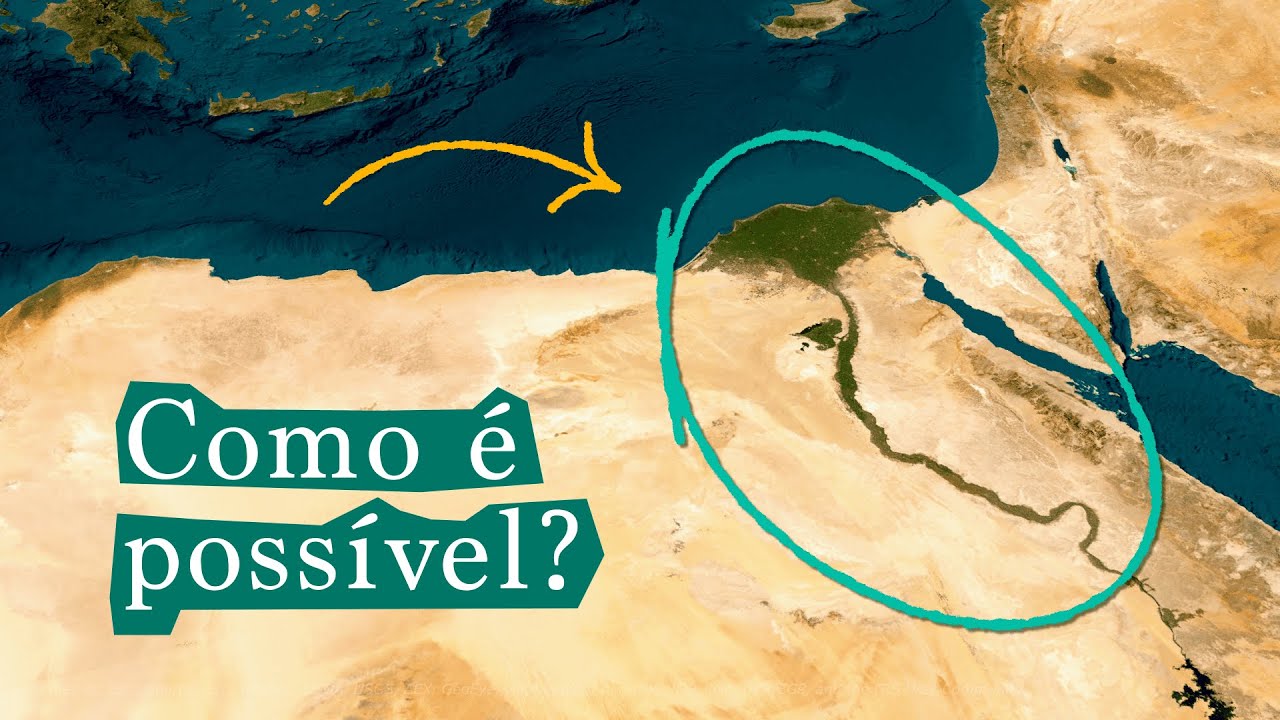 Por que existe uma Floresta no Meio do Deserto?