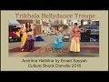 Trikhala Bellydance Troupe -- Amiritna Habibitna-- Culture Shock Danville 2016