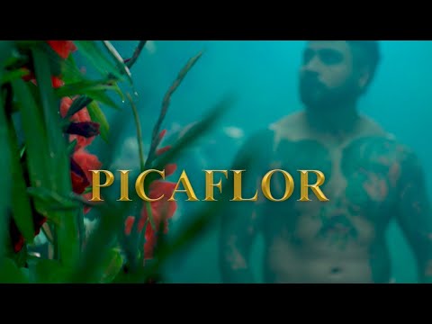 El Picaflor - Chila Jatun Ft Edwin Castellanos