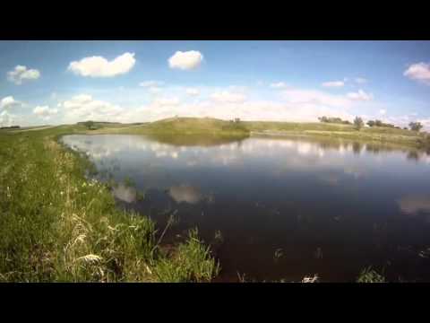 The 20 Minute Anglerexploding Rods Stampeding Buffalo