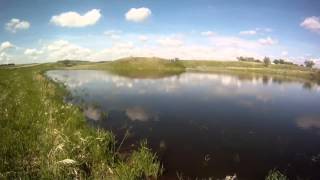 The 20 Minute AnglerExploding rods! Stampeding Buffalo
