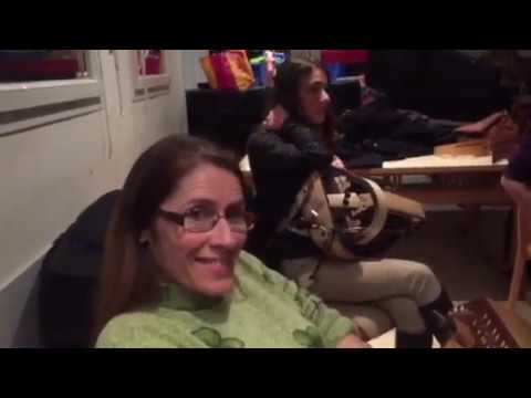 Atelier vielle à roue du Paratge des Sirènes, février 2017 (1)