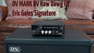 Video thumbnail for DVMARK Raw Dawg Eric Gales Demo by Frank Fleckenstein