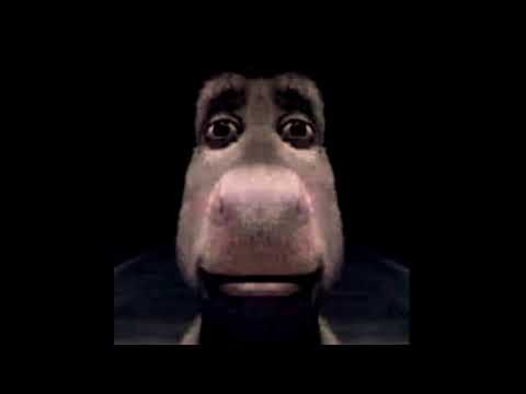Donkey Meme