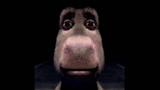 Donkey Staring Meme