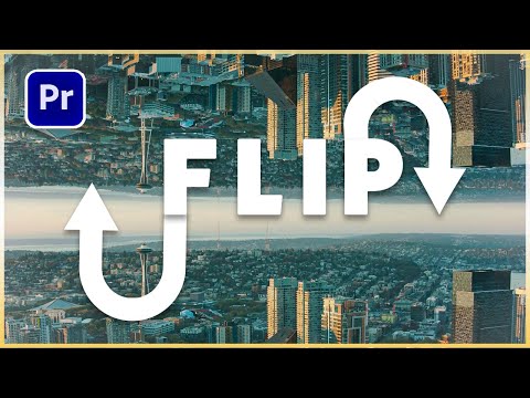 Parallel World Effect In Premiere Pro