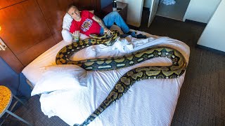 STUCK IN A HOTEL WITH  COVID AND A GIANT SNAKE FOR DAYS!! | BRIAN BARCZYK by Brian Barczyk