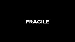 Prince Fox - Fragile Feat. Hailee Steinfeld