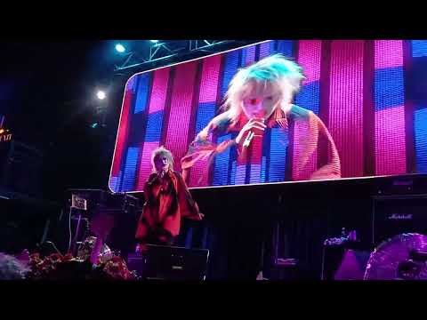 Közi en Chile 2025 - Honey Vanity