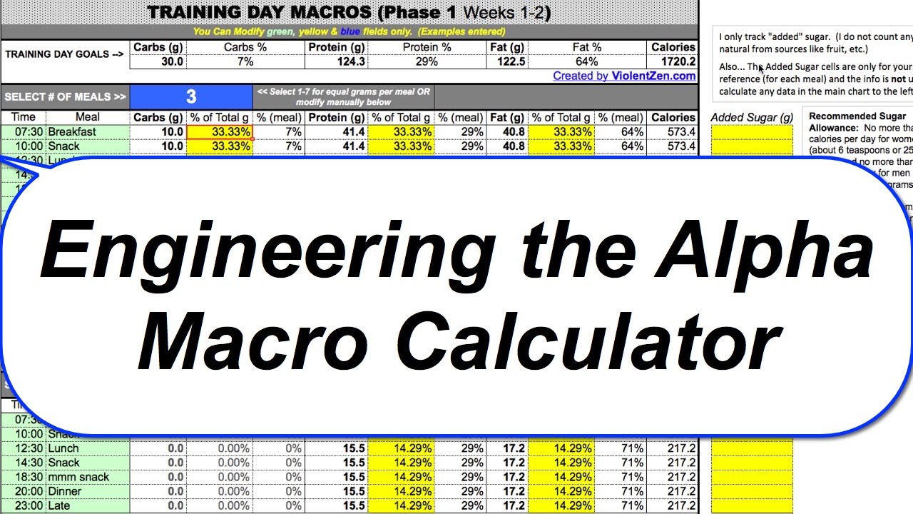 Intermittent Fasting Spreadsheet Calculator - Engineering The Alpha