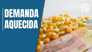 Miniatura do vídeo