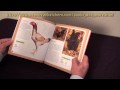 Video: Book Review - Choosing and Raising Chickens