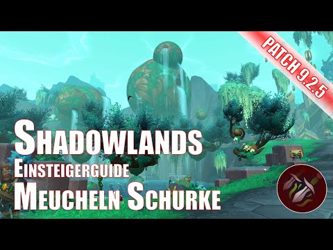 Meucheln Schurke Einsteigerguide Shadowlands World of Warcraft Patch 9.2.5