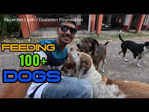 Feeding 100+ Dogs | Dodaden Foundation | Sayantan Lodh