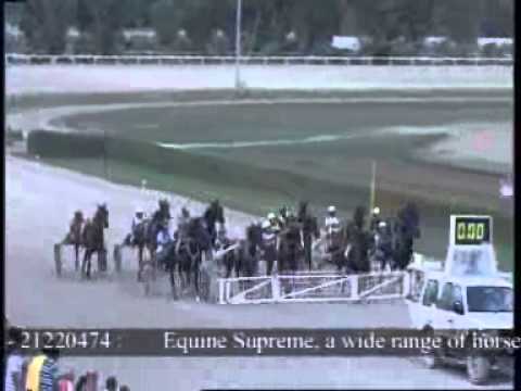 www kennethvella.com Meeting (29) Date 12-6-2015 Race 1,2,3,4,5,6,7,8,9,10.