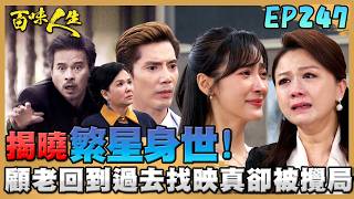 百味人生 EP247 完整版｜嚴麗珍派警抓「青艾」！柯豐祿坦白：繁星才是淑媛女兒！顧老回到過去找映真！卻被秦佩芬攪局破壞！｜Bittersweet Destiny｜【莊廣和堂轉大人萃滴精】