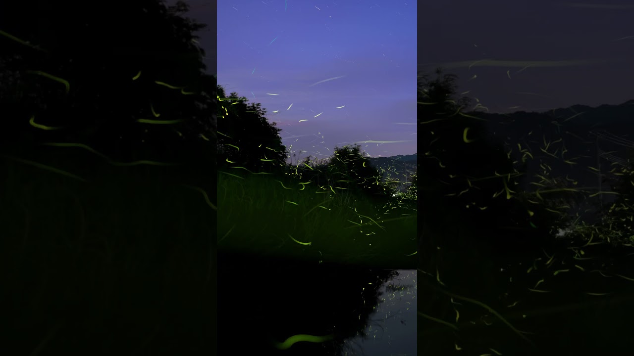 YouTube Short thumbnail