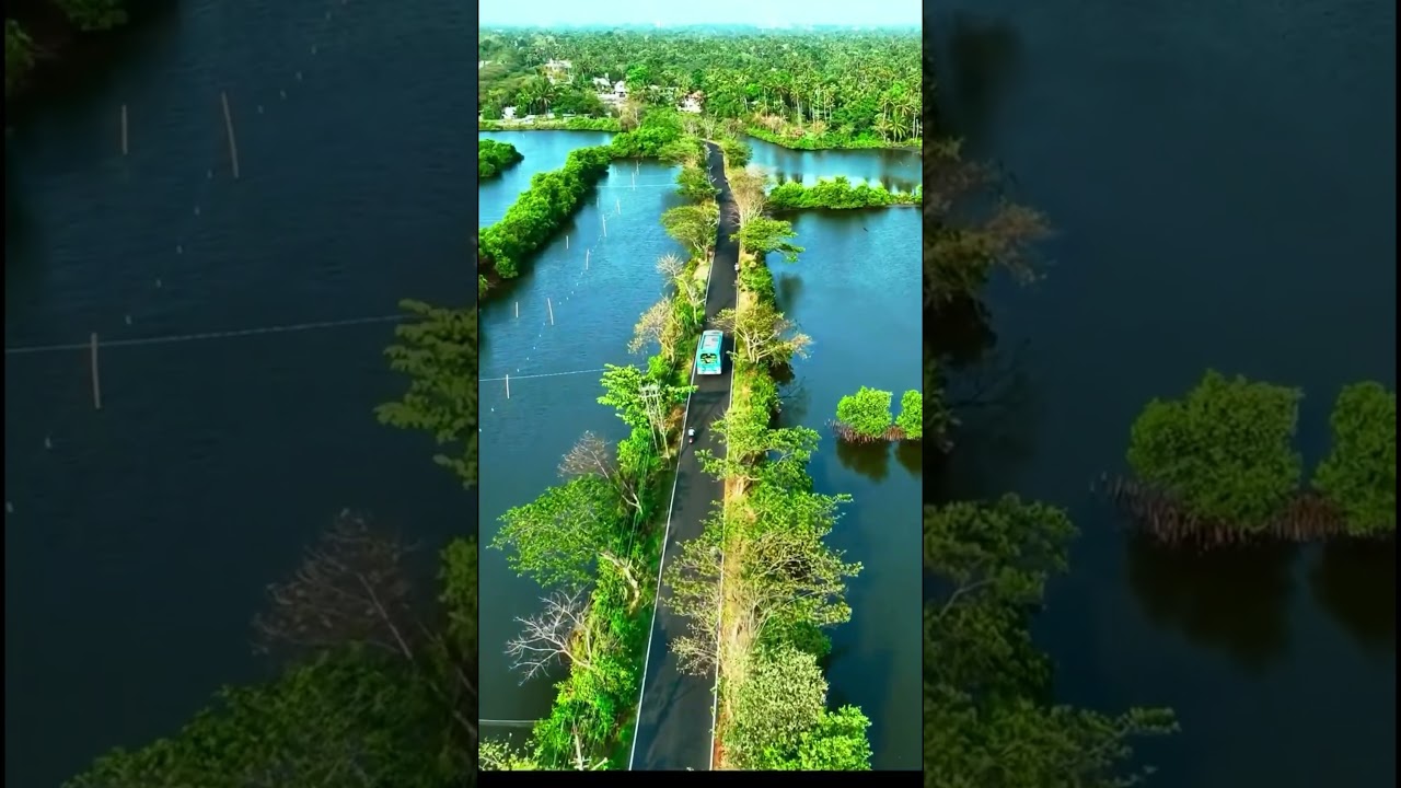peace in nature 🌿☘️🍀#nature #trending #ytshorts
