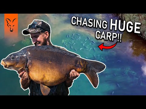 CARP FISHING EDGES | SEASON 1 | Windswept Whackers - Lewis Porter & Jim Wilson