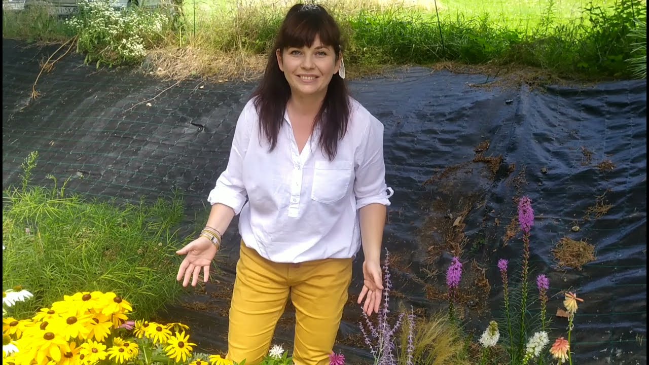 Byliny najdłużej kwitnące latem - top 10 roślin wieloletnich do ogrodu.