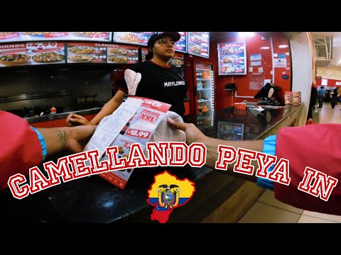 Trabajando unas horas en Pedidos Ya ¿cuánto dinero saqué ? / #machala - #ecuador - #pedidosya