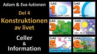 Thumbnail for video: Adam och Eva-lutionen Del 4: Konstruktionen av livet (Celler & Information)