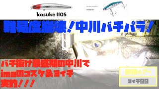 【釣り】マーカスの一人で釣りシリーズ〜今年初動画！中川のバチ抜け最盛期でコスケとヨイチで無双できる説！