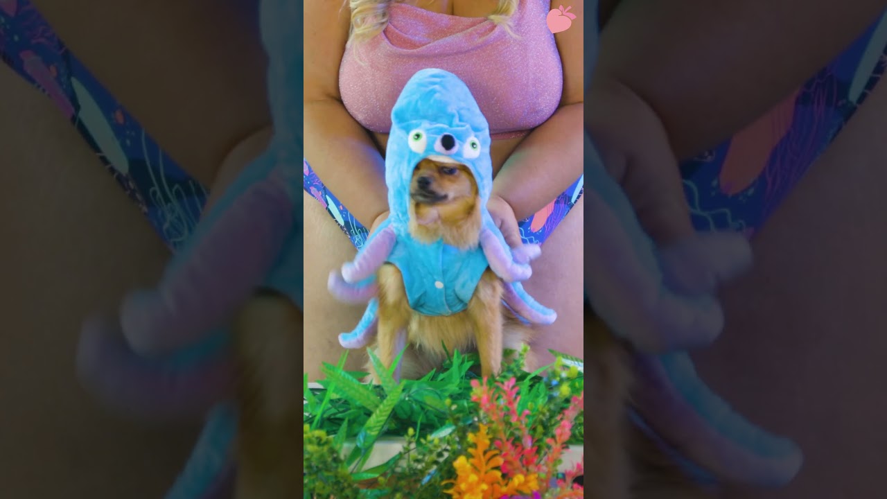 Underwear Mermaid Video - New Open