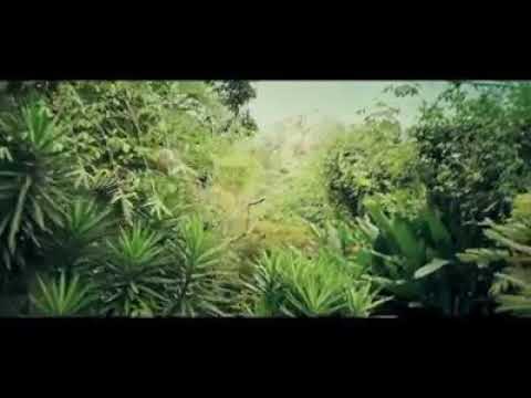 Mellow Mood ft. Forelock & Hempress Sativa - Inna Jamaica